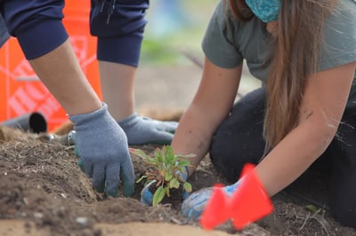 FBEN - Fishers Bend STRAW Planting - D.Mauk - 2022-03-17 - 3-1