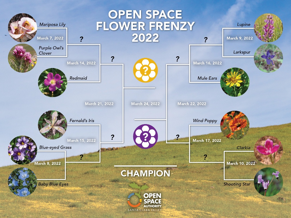 2022 flower bracket-1