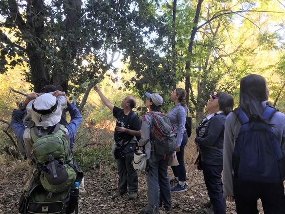 Keep Coyote Creek Beautiful - 2