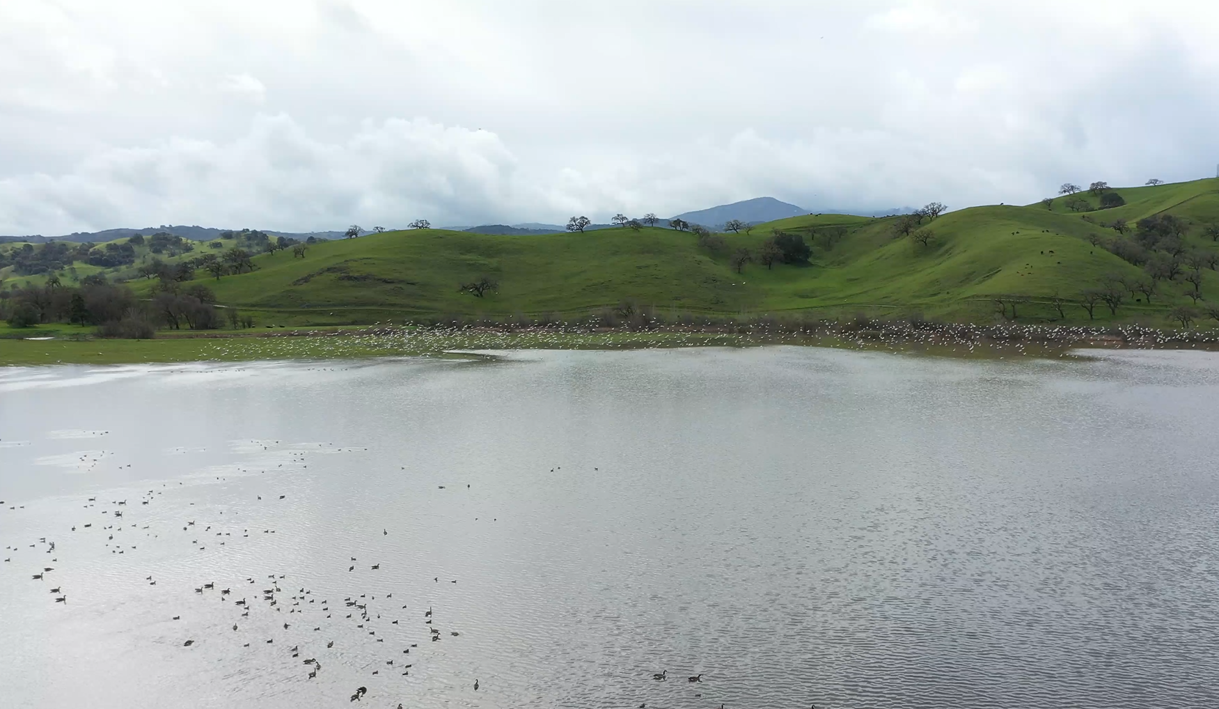 Laguna Seca filled with water and waterfowl during the winter