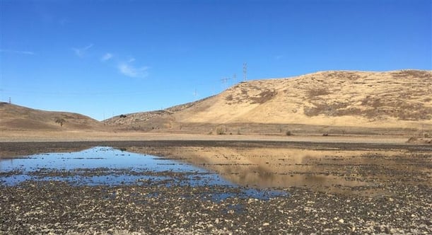 Laguna Seca inundated by groundwater