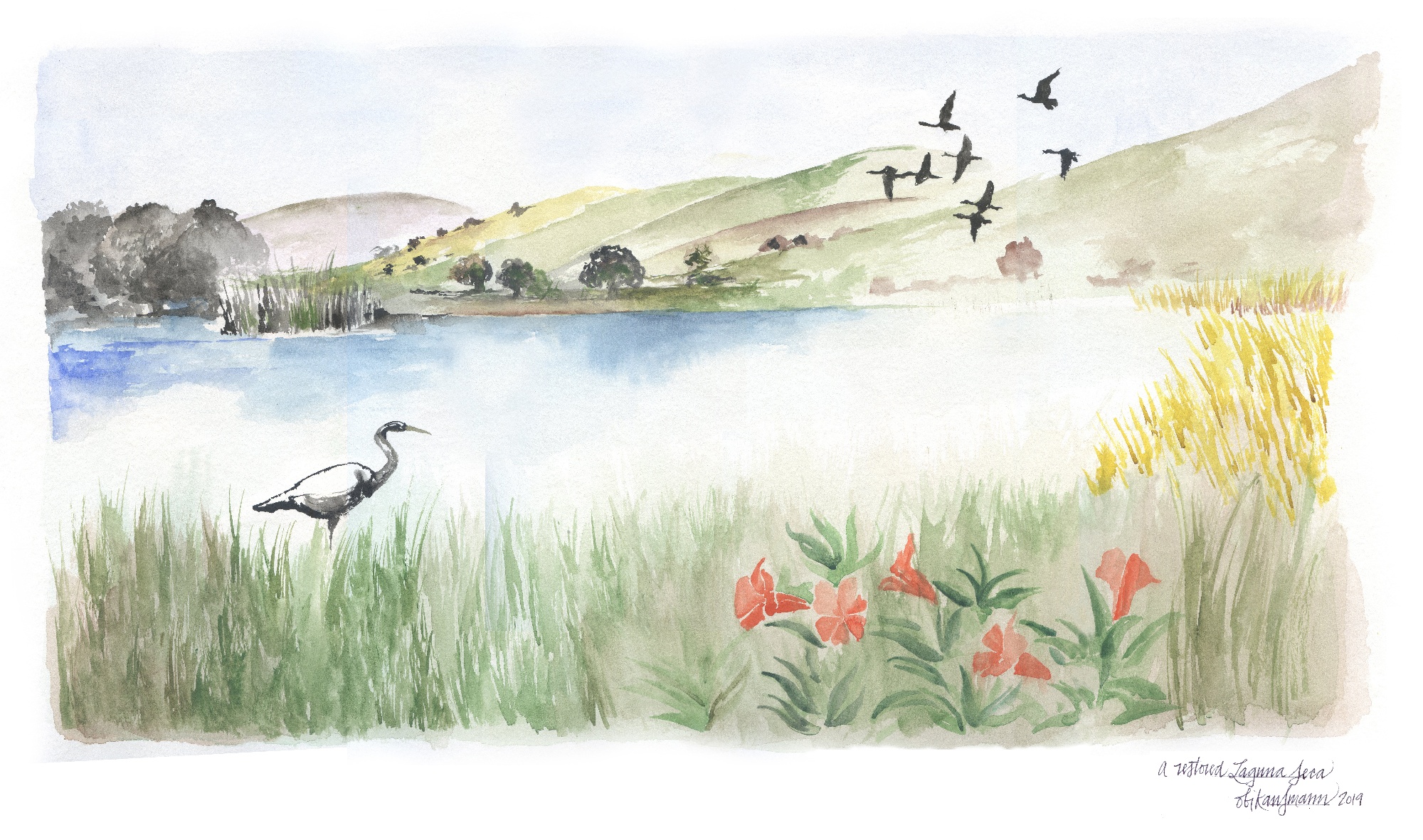 Watercolor illustration of Laguna Seca with lush plants and water birds