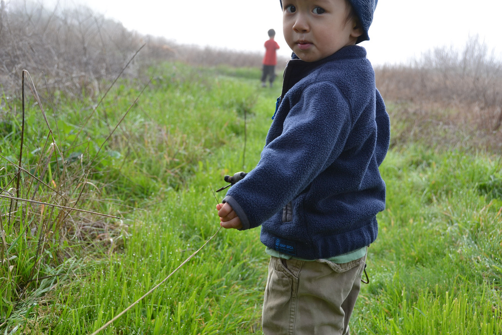 Little Boy in Field - AB - 12-01-2011