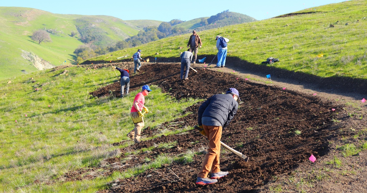 Seven people working with tools to construct a dirt trail on the side of a green hillside.