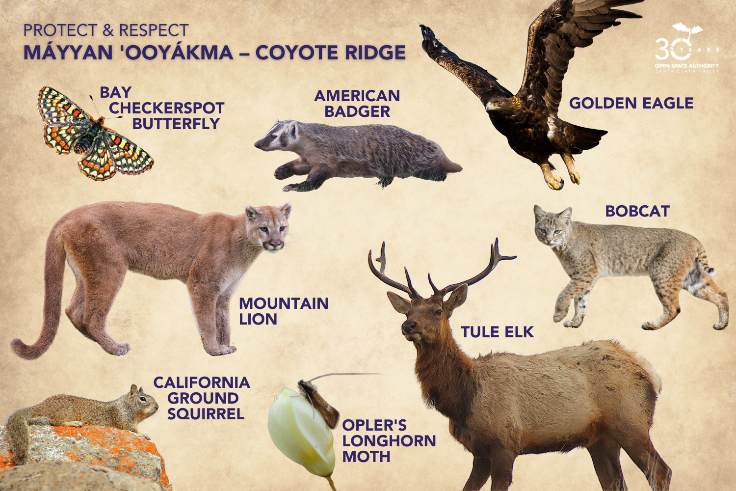 MOCR Wildlife Infographic - HORIZONTAL