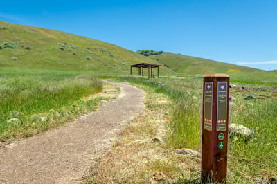 MOCRTrail_newsletter