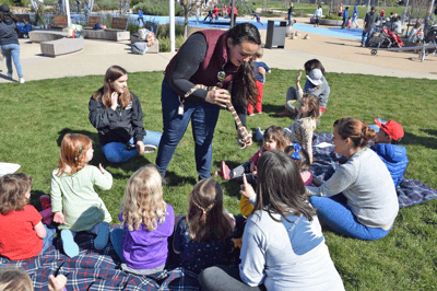Mel Sarmento Newsletter