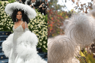 MetGalaWhoWoreItBetter