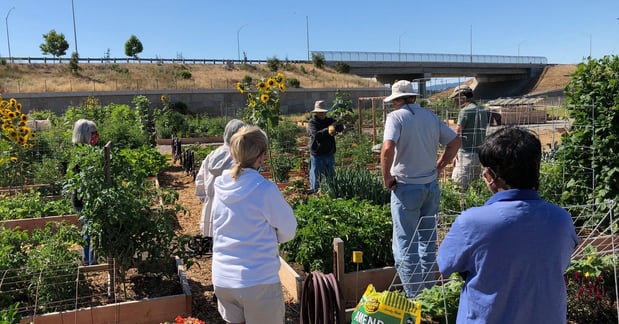 Morgan Hill Community Garden - Facebook Page - 2020-06 - 1