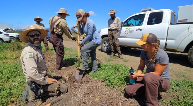 NPRAP - Staff hedgerow planting - D-Mauk - 2021-06-21 - 3