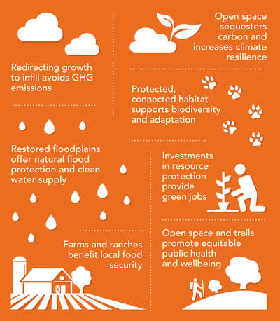 Nature Based Solutions-Graphic-1