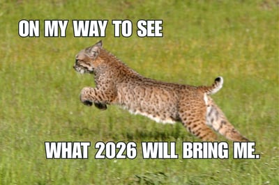 Newsletter 2026 meme 2