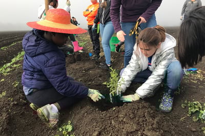 Newsletter 3321x2214 (2)-1