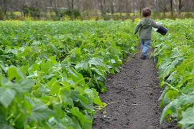 Newsletter 3321x2214 (5)