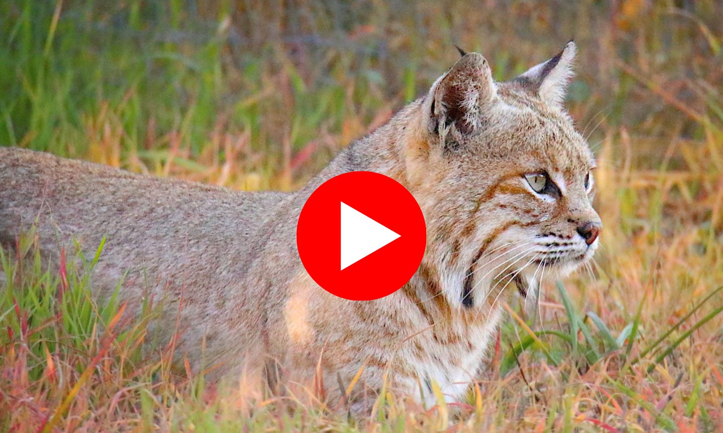 Newsletter Hero Banner (1)