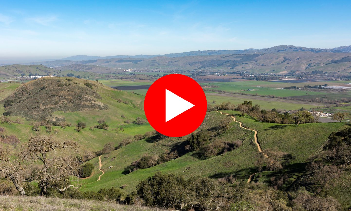 Newsletter Hero Banner (Jan 2026)