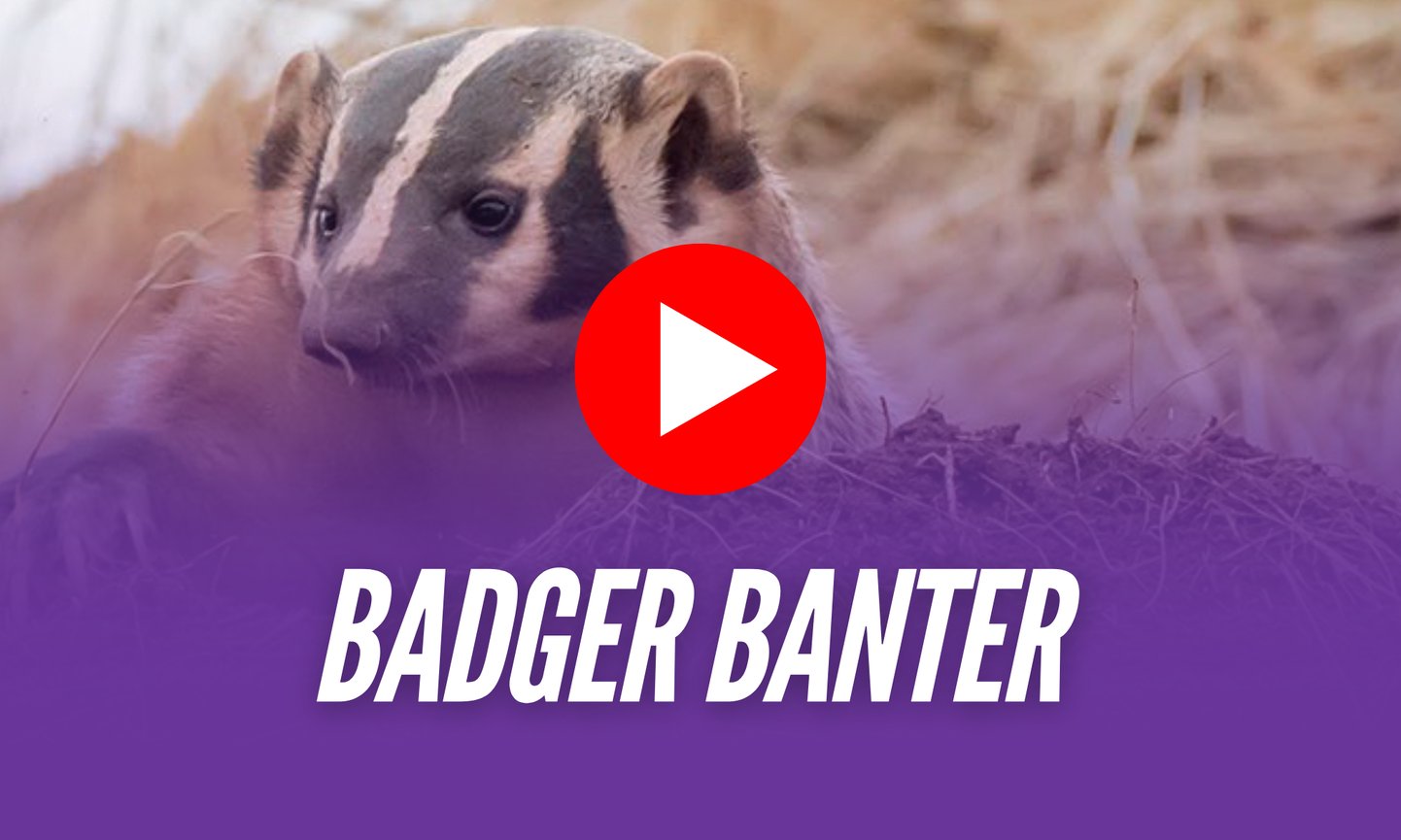 Newsletter Hero Banner-1