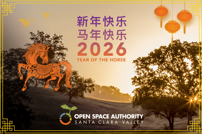 OSA-LNY2026-CHN-3321x2214