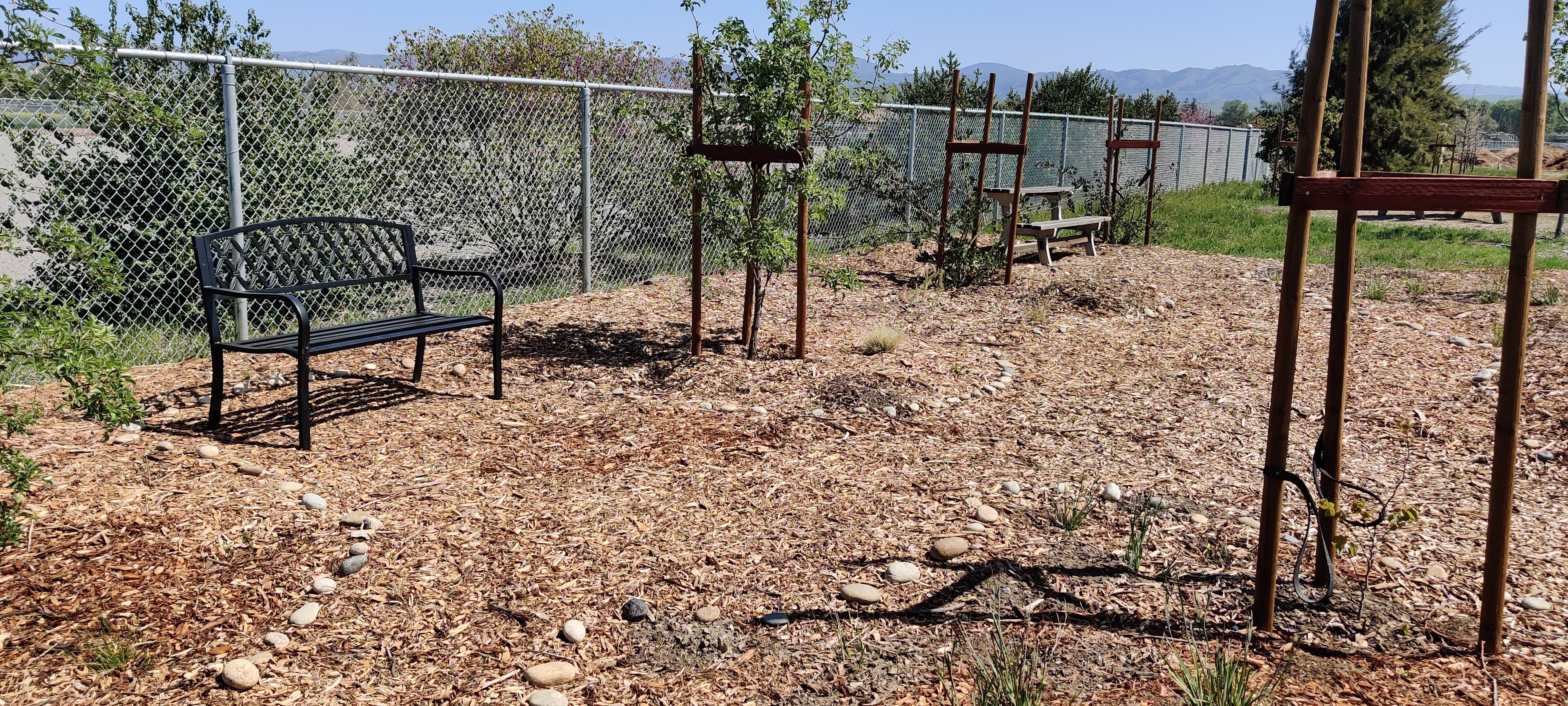 Fenced outdoor area with bench and small trees