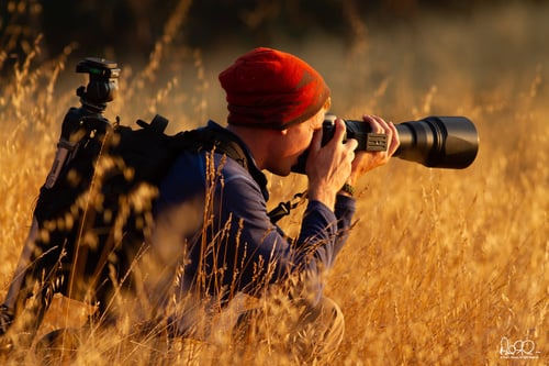 A photographer in profile kneels in golden grass, taking a photo 