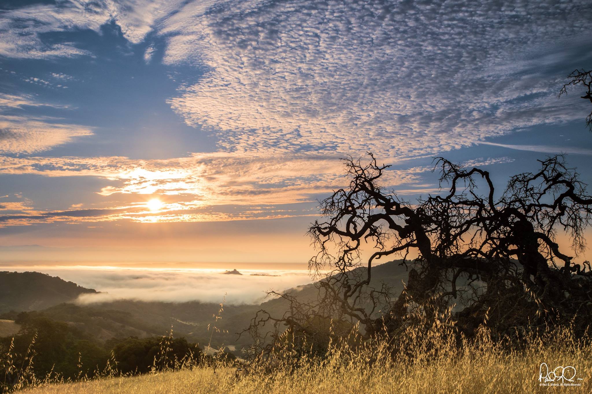 Paul Dileanis - Sunrise from the Mayfair Ranch Trail - Rancho Canada del Oro Open Space Preserve