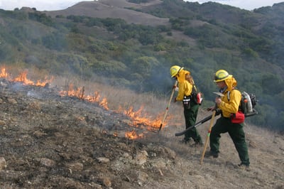 Two men in fire protective equipment tend to a prescribed fire along a hillside of dry, invasive grass.