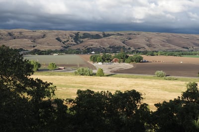 A photo shows agricultural land sitting next to rolling golden hills with shaded trees in the foreground.