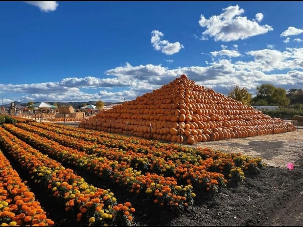 Pumpkin Pyramid-1