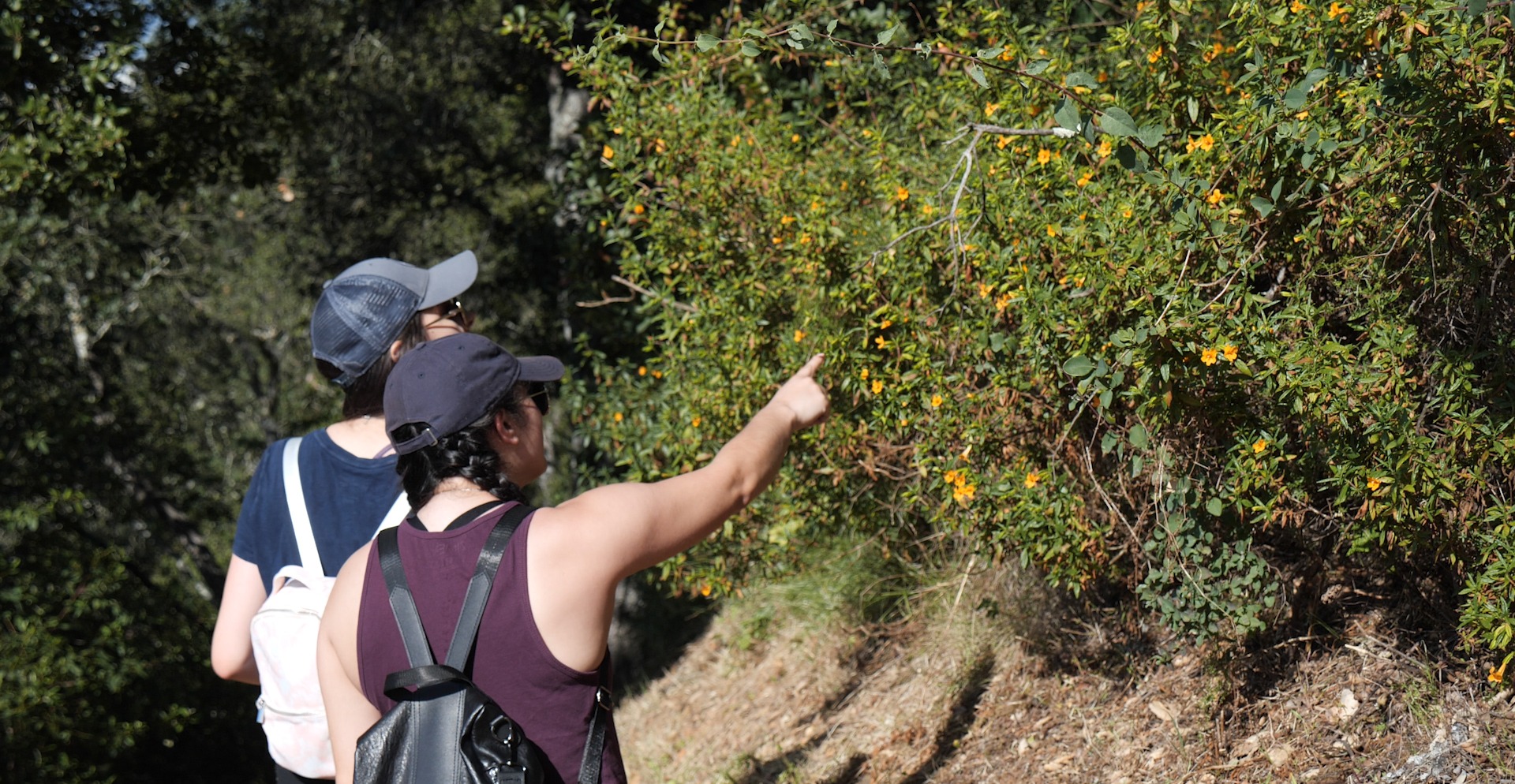 Two hikers pointing at plant on trail