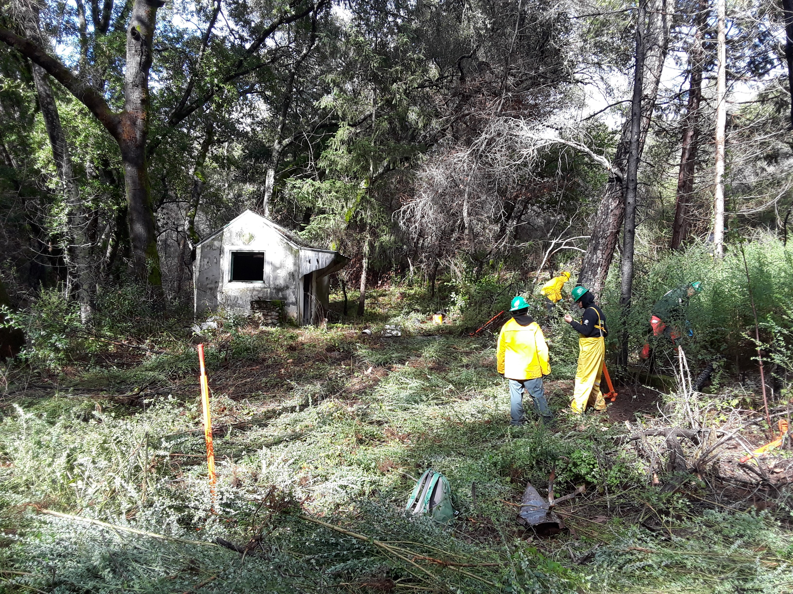 RCAN - CCC Broom Pull - A.Burnside - 2-9-19 - 1