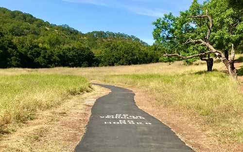 Paved trail going into grassy field under blue sky