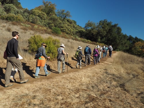 RCAN - Plant Hike - R.Horii - 11-25-18 - 11