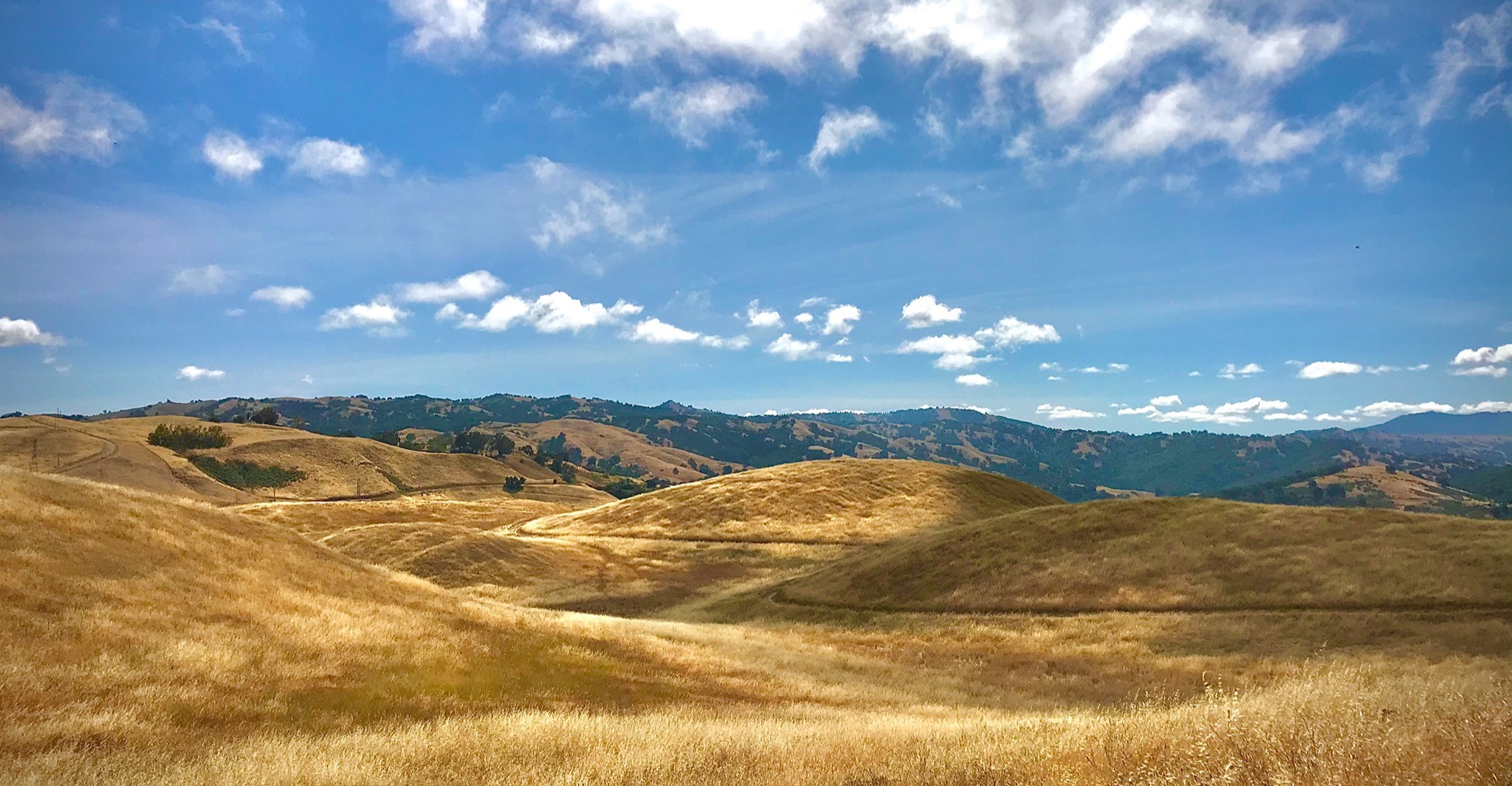 Rolling golden hills under blue sky