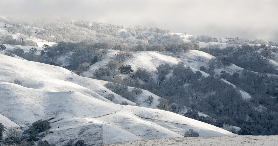 SVIS - Snow - D-Neumann - 2-5-2019 - 35-2-1