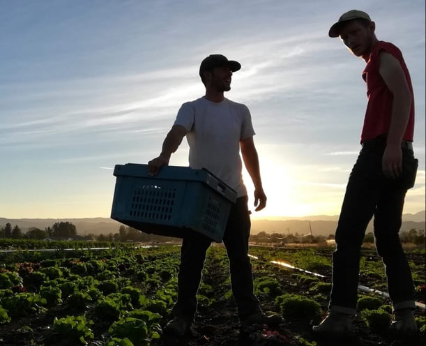 Sam and Nick in the field-1