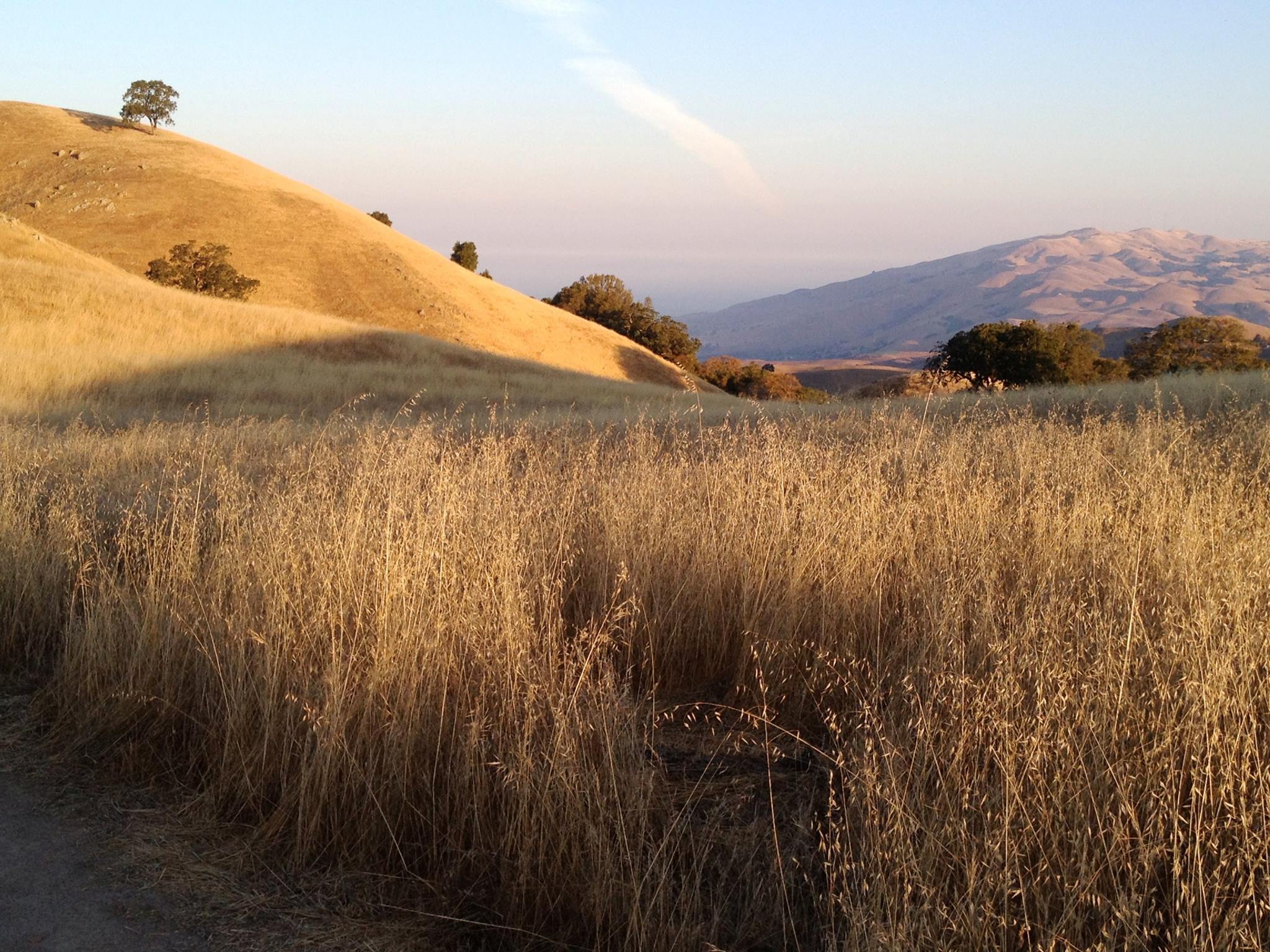 Sierra Vista - Aquila Trail - AL - 10-01-2014