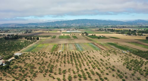 Aerial view of expansive farmlands, with mountains in the distance
