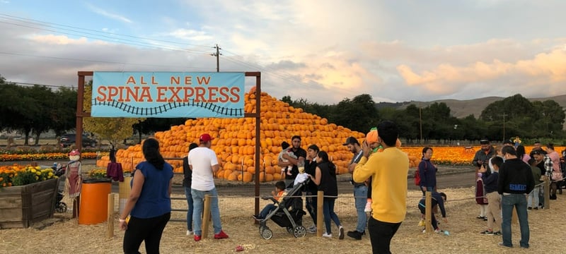 Spina Farms Pumpkin Patch - N-Perry - 2021-11-01 - 3-1