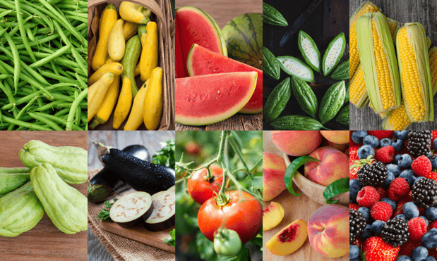 Summer produce collage