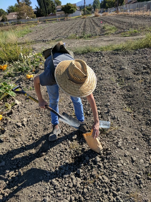 UC Cooperative Extension Santa Clara County Farm Hub, Martial Cottle Park