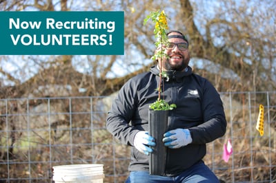 Volunteer Recruitment Newsletter