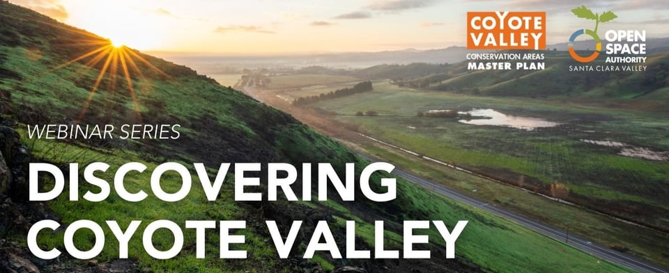 Graphic: Discovering Coyote Valley over green landscape