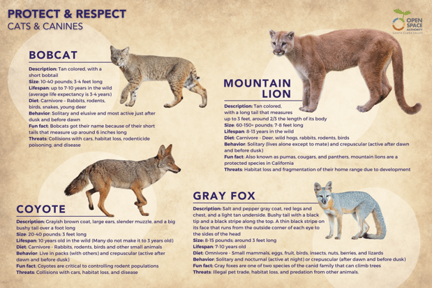 Wildlife Infographic - HORIZONTAL - 2