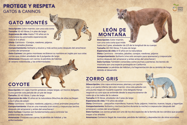Wildlife Infographic - SPANISH