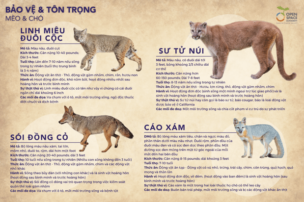 Wildlife Infographic - VIETNAMESE