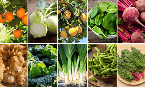 Winter produce collage