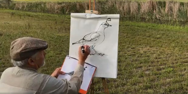 bird drawing - 1