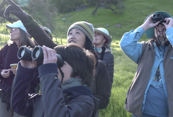 Birders