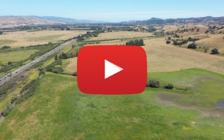 coyote valley capture