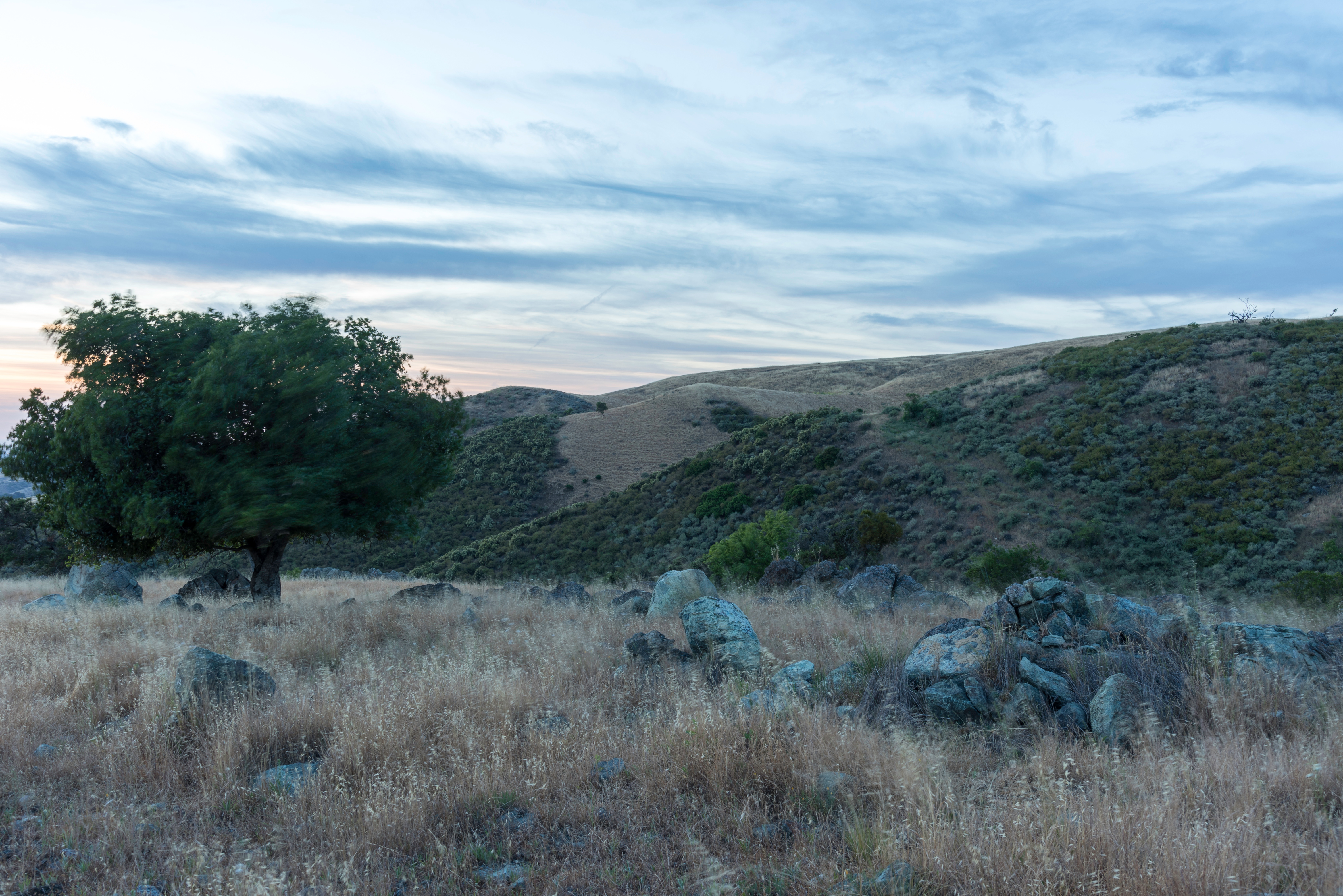 2017_May_Coyote Ridge OSP-1_D Neumann.jpg
